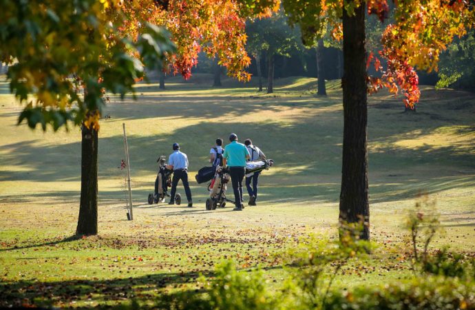 GOLF