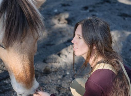 Fundación Bayos : Tratamientos de hipoterapia en pleno sur de Chile