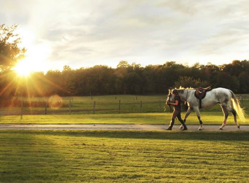 Exclusivas parcelas: CAMPO DE POLO Y EQUITACIÓN SAN CRISTÓBAL