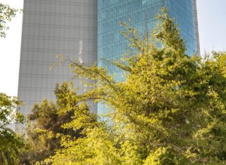 Banco Bci potencia su compromiso con la sostenibilidad