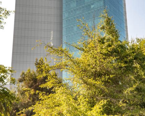 Banco Bci potencia su compromiso con la sostenibilidad