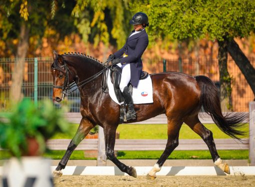 Se preparan para grandes desafíos: DEPORTISTAS DEL CLUB DESTACAN EN CHILE Y EL EXTRANJERO